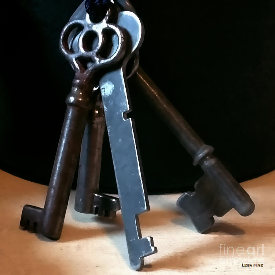 Vintage Skeleton Keys  II Photograph by Lesa Fine