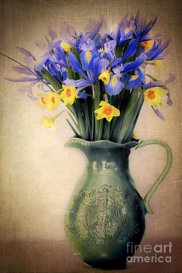 Vintage Spring Daffodils and Irises  Photograph by Karen Lewis