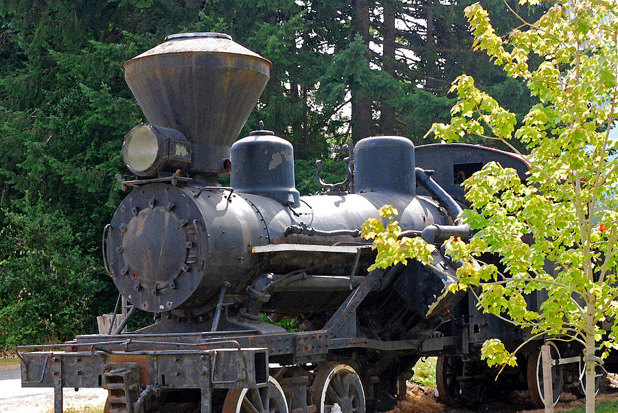 Vintage Steam Engine for Logging Photograph by Connie Fox