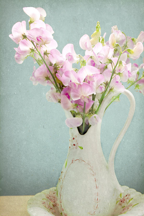 Vintage Sweet Peas in a Pitcher Photograph by Peggy Collins