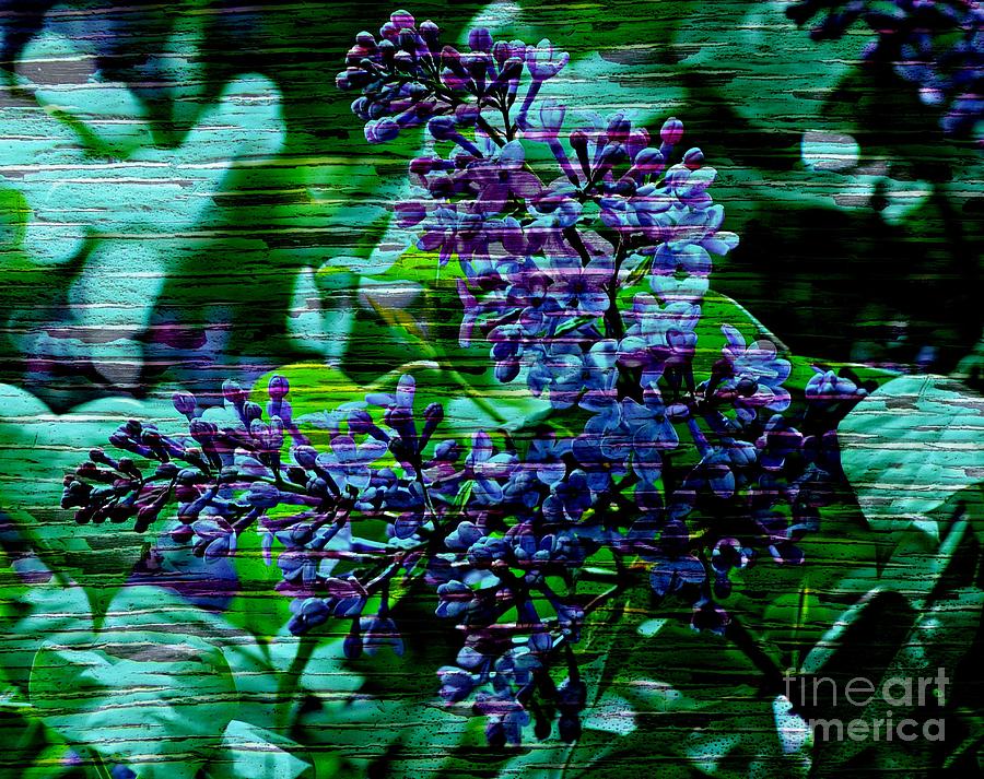 Vintage Textured Painted Lilac Photograph by Judy Palkimas