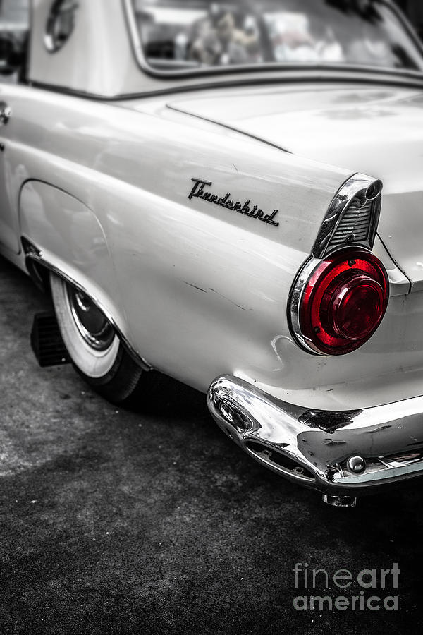 Sports Photograph - Vintage Ford Thunderbird by Edward Fielding