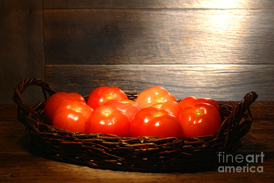 Vintage Tomatoes Photograph by Olivier Le Queinec