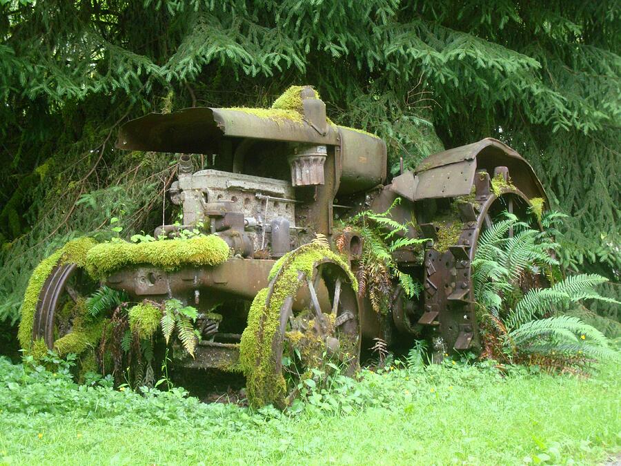 Vintage Overgrown Rusted Tractor Photograph