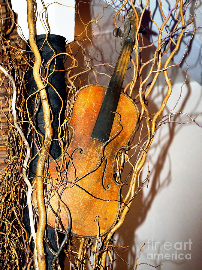 Vintage Violin Photograph by Alys Caviness-Gober