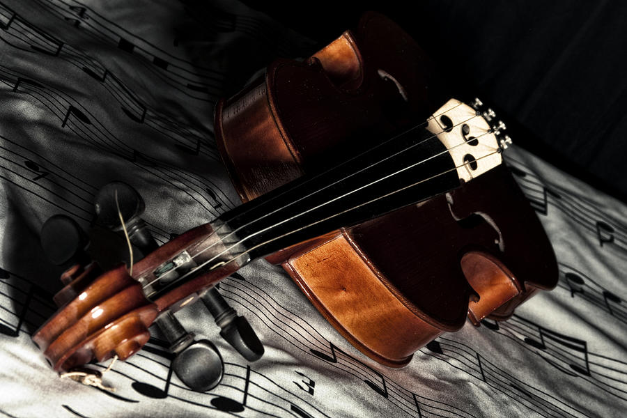 Music Photograph - Vintage violin by Mike Santis
