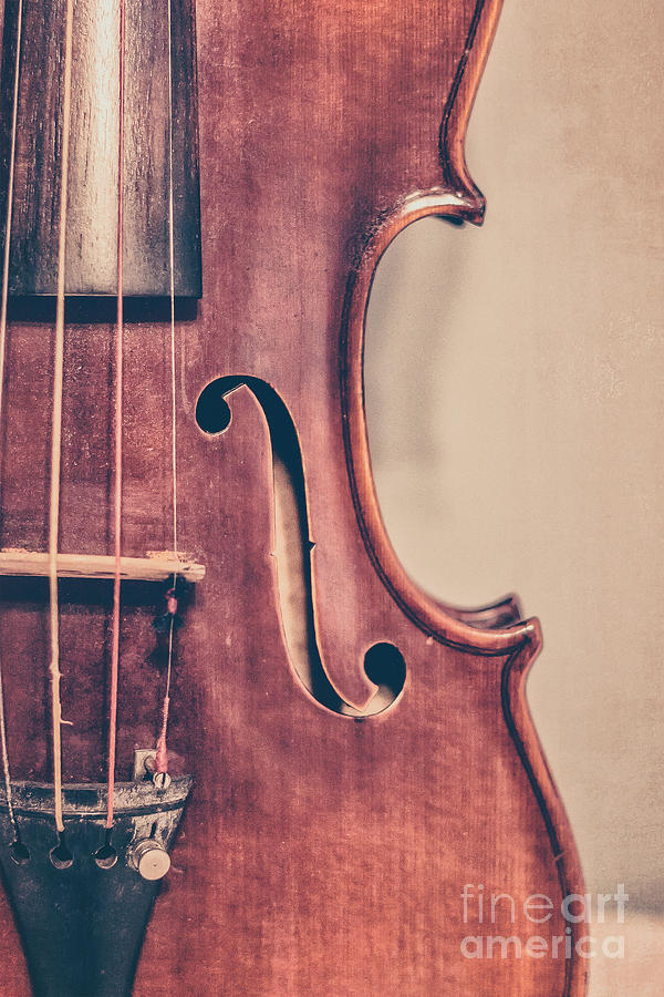 Music Photograph - Vintage Violin Portrait 2 by Kadwell Enz