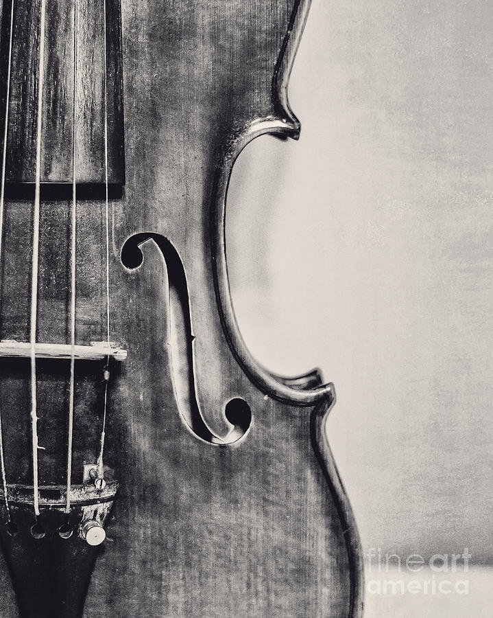Music Photograph - Vintage Violin Portrait in Black and White by Kadwell Enz