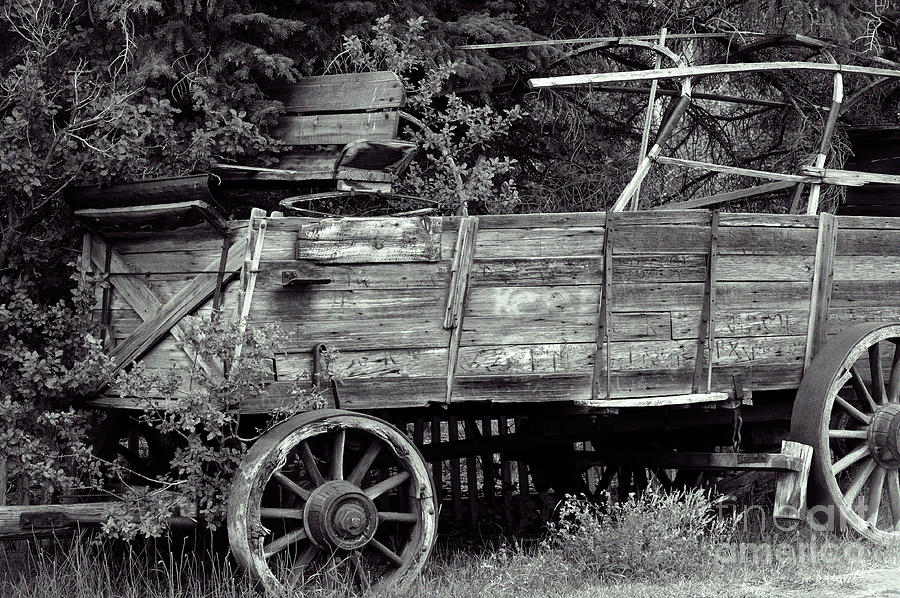 Vintage Wagon Photograph by Dennis Hammer