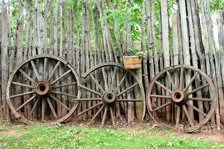 Vintage Photograph - Vintage wagon wheels and rustic log fence by Adam Long