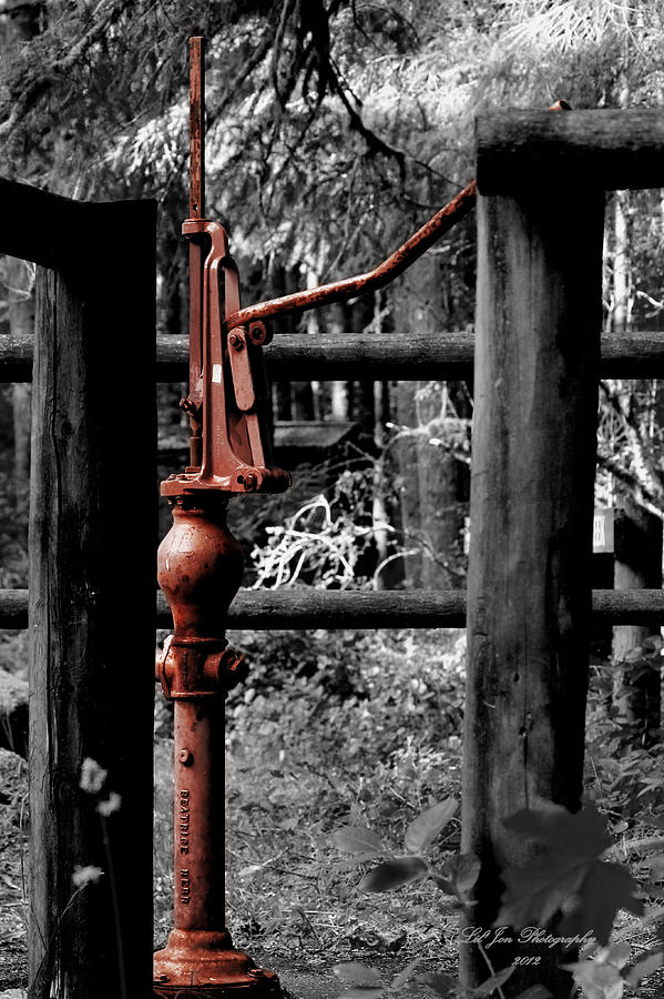 Nature Photograph - Vintage Water Pump by Jeanette C Landstrom