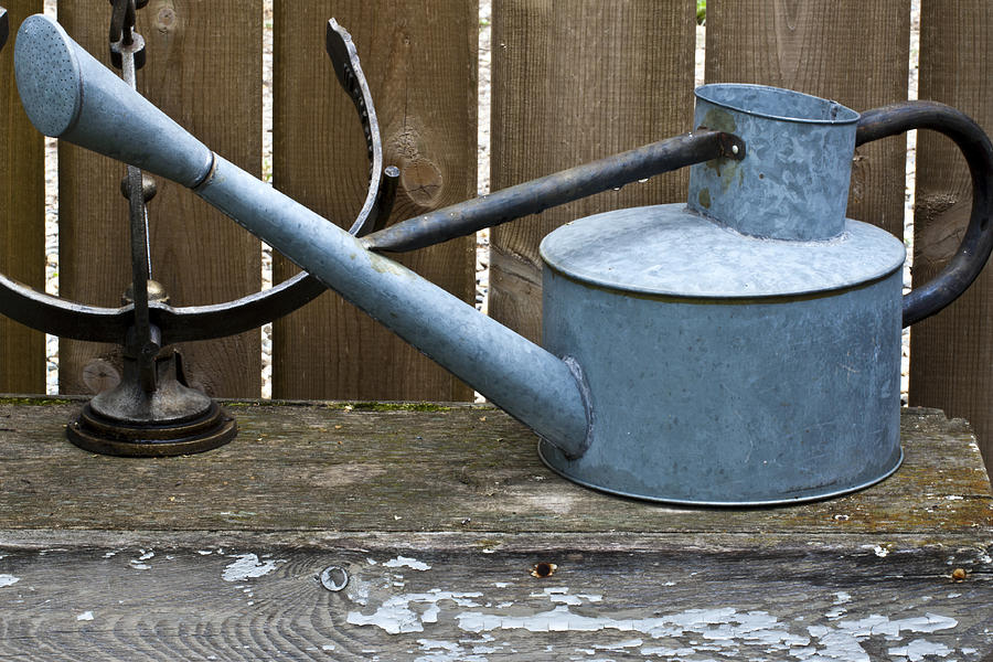 Vintage Watering Can In The Garden Photograph by Sandra Foster