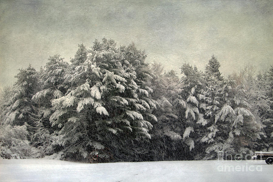Vintage Winter Photograph by Karin Pinkham