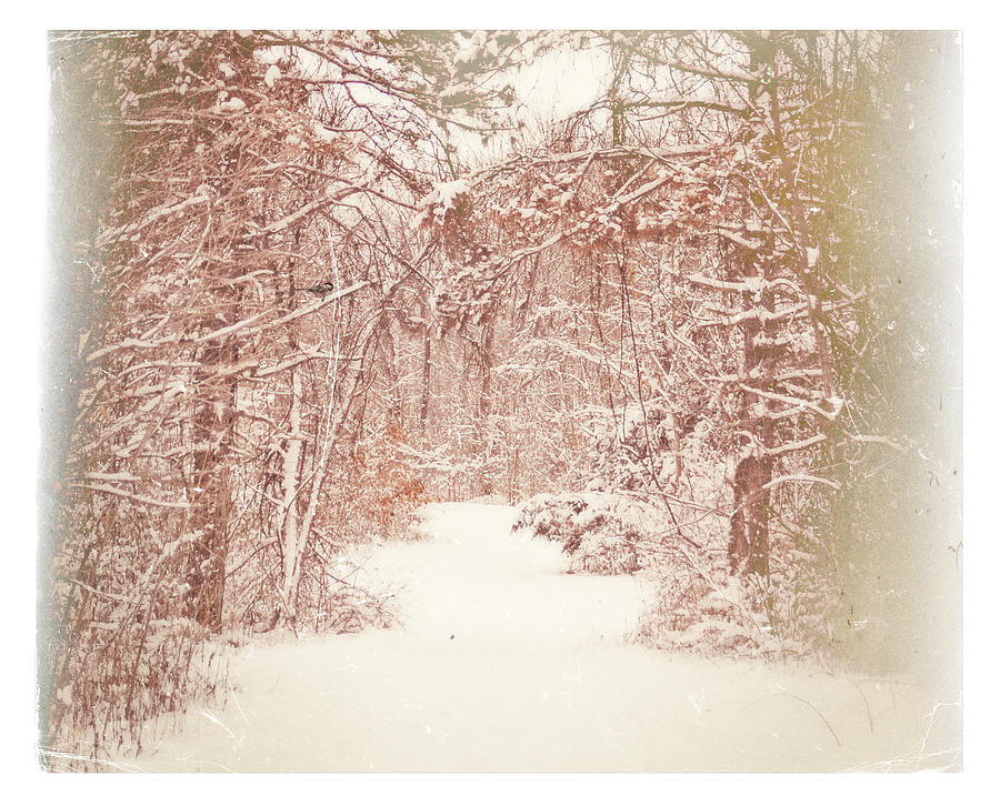 Vintage Winter Path Photograph by Mary Timman