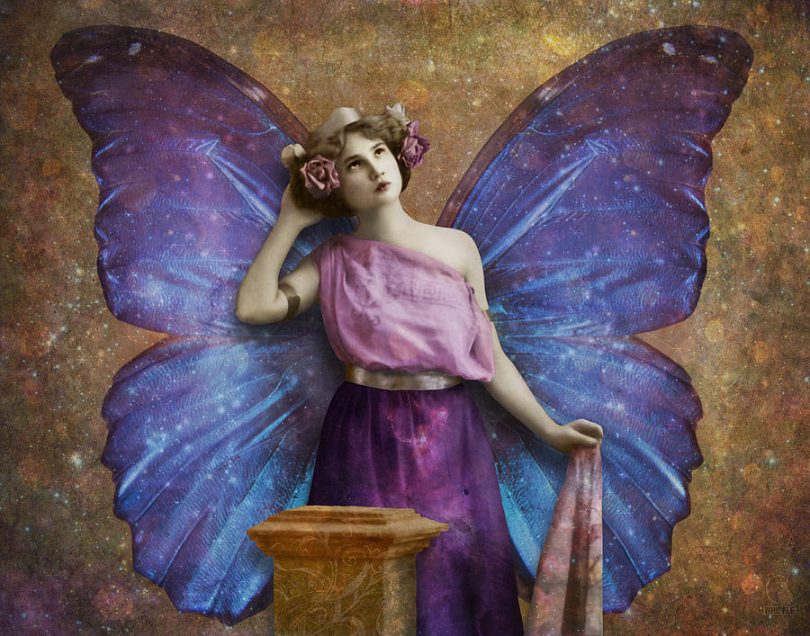 Butterfly Digital Art - Vintage Woman With Butterfly Wings by Cat Whipple