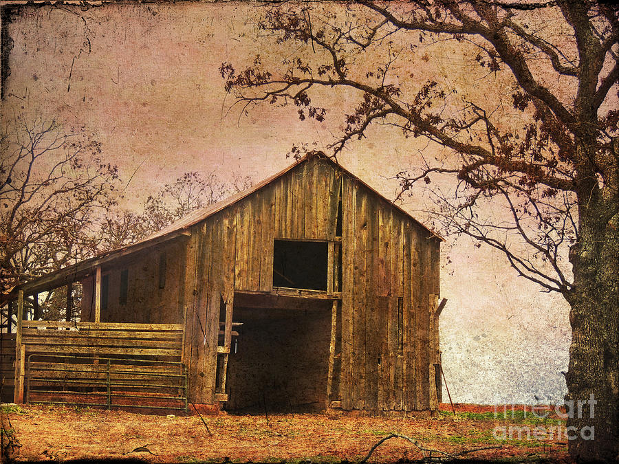 Vintage Wood Barn Photograph by Betty LaRue