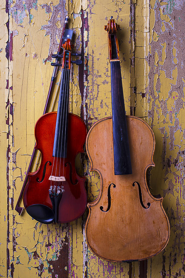 Viola and Violin Photograph by Garry Gay