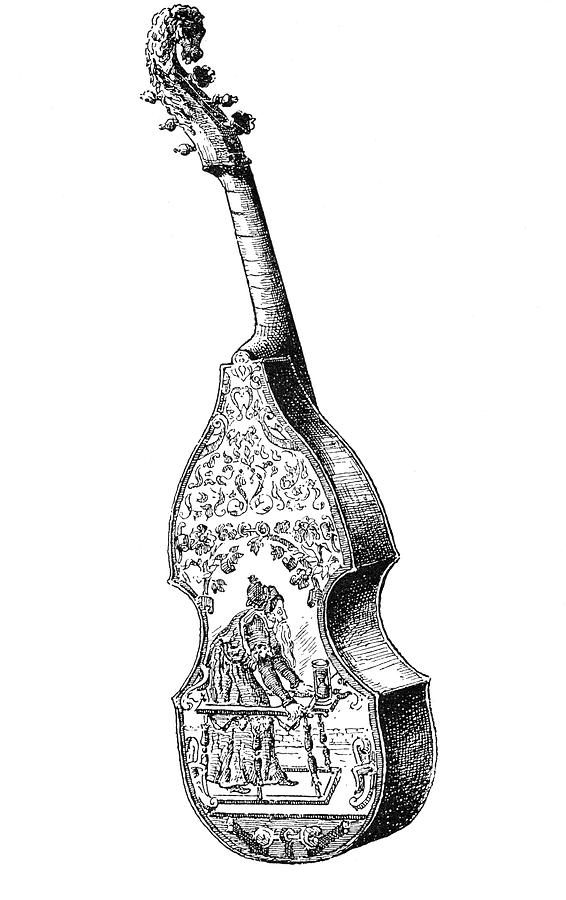 Viola Da Gamba Made By Gaspar Drawing by Mary Evans Picture Library