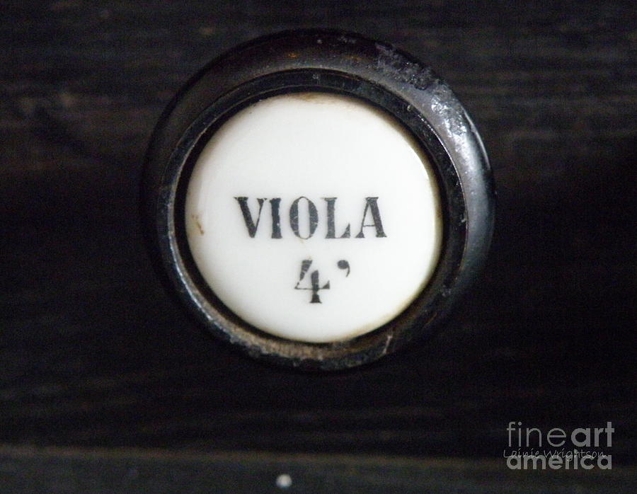 Viola Photograph by Lainie Wrightson
