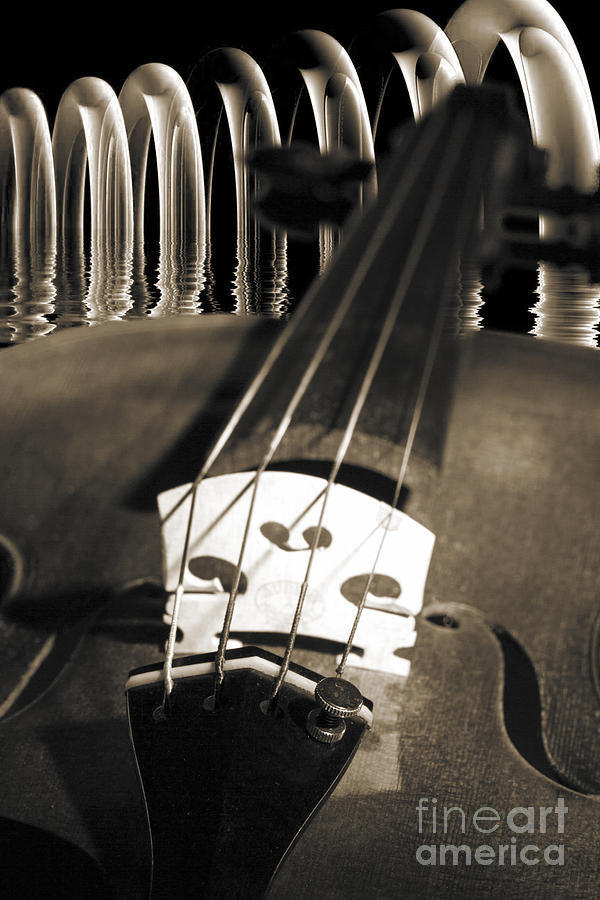 Viola Violin in a Fantasy World in Sepia 3067.01 Photograph by M K Miller