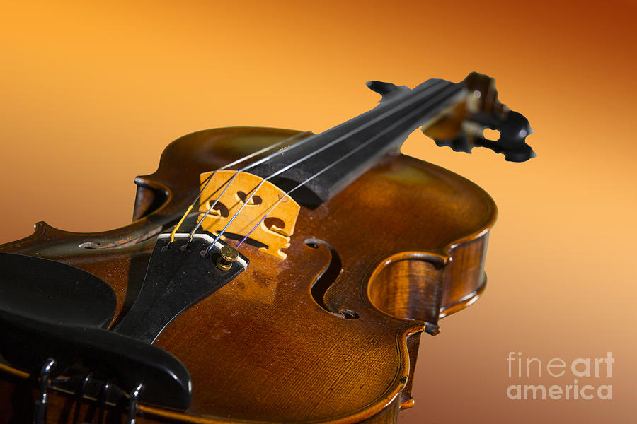 Viola Violin on a Gold Background in Color 3068.02 Photograph by M K Miller