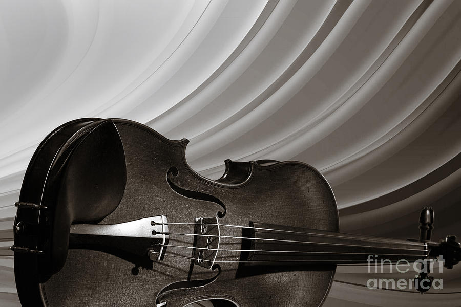 Viola Violin on a Rainbow Background in Sepia 3071.01 Photograph by M K Miller