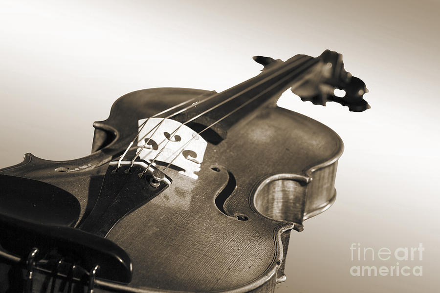 Viola Violin on a Soft Background in Sepia 3068.01 Photograph by M K Miller
