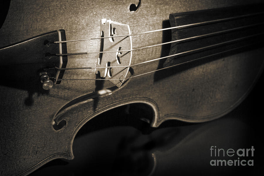 Viola Violin on Tabletop String Bridge in Sepia 3077.01 Photograph by M K Miller