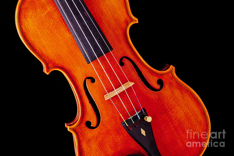 Viola Violin Photograph Strings Bridge in Color 3263.02 Photograph by M K Miller