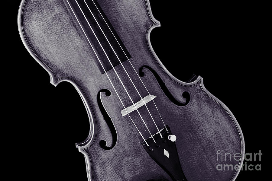 Viola Violin Photograph Strings Bridge in Sepia 3263.01 Photograph by M K Miller