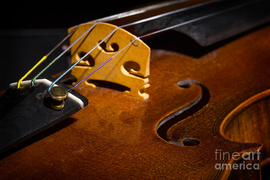 Viola Violin String Bridge Close in Color 3076.02 Photograph by M K Miller