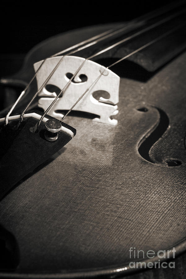 Viola Violin String Bridge Close in Sepia 3075.01 Photograph by M K Miller
