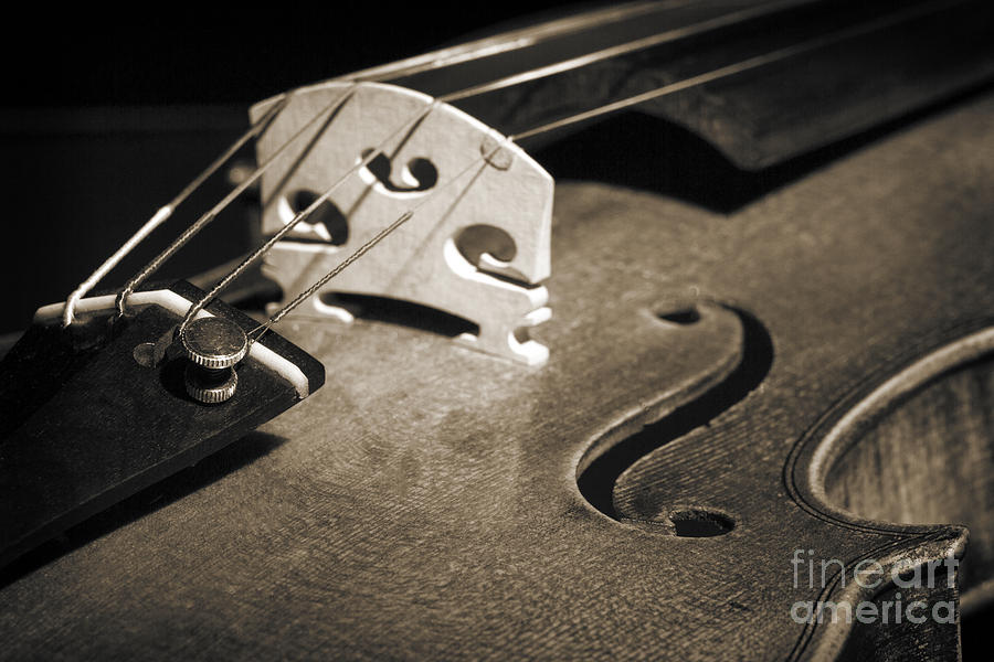 Viola Violin String Bridge Close in Sepia 3076.01 Photograph by M K Miller