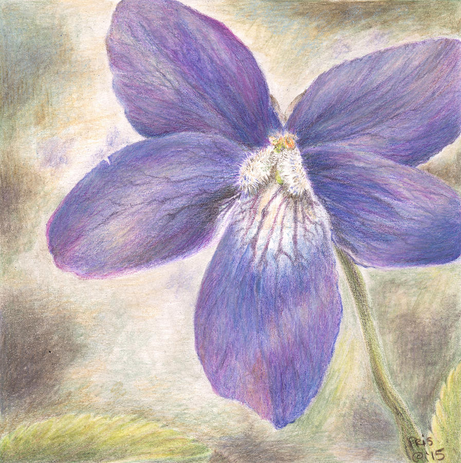 Violet  Painting by Pris Hardy