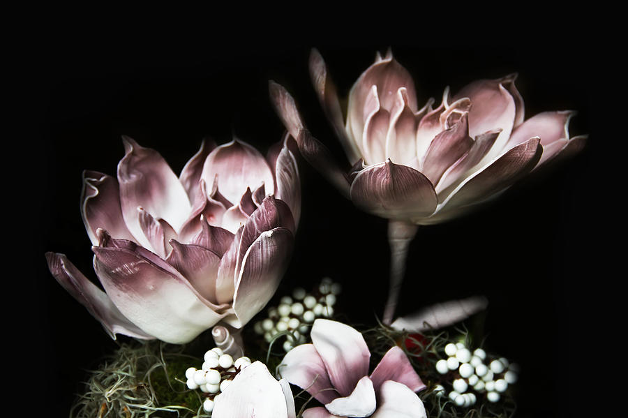 Violet Flower Photograph by Christine Sponchia