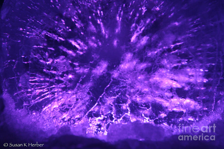 Violet Ice Eye Photograph by Susan Herber