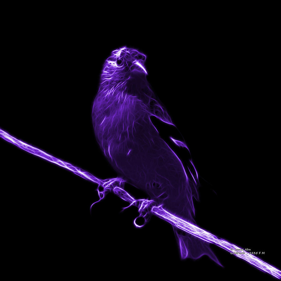 Violet Lesser Goldfinch - 2235 F Digital Art by James Ahn