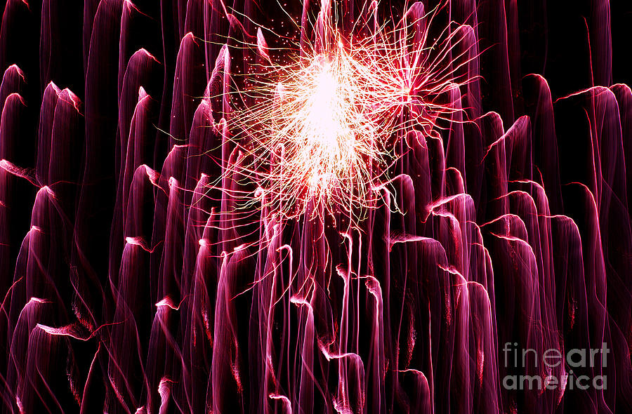Violet- mauve colored fireworks on black . Photograph by Geoff Childs