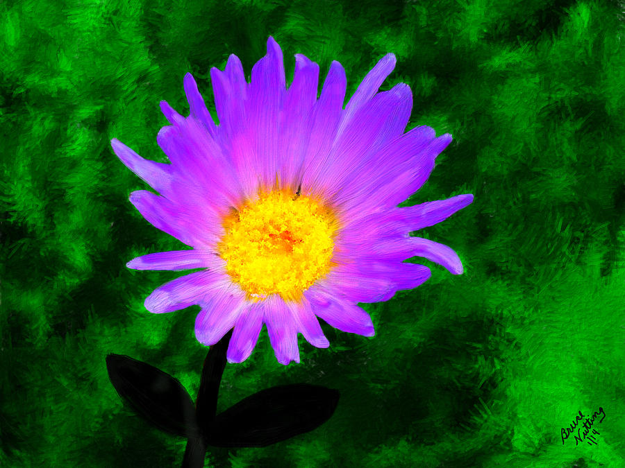 Flower Painting - Violet Mojave  Aster by Bruce Nutting