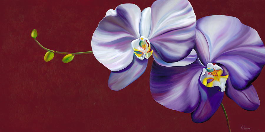 Orchid Painting - Violet Shadows by Kerri Meehan