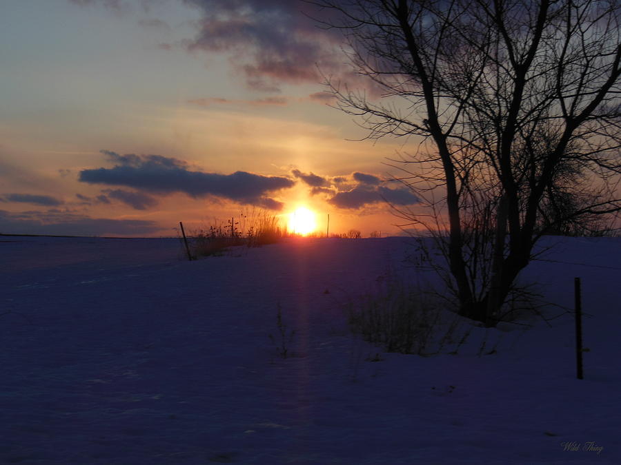 Violet Sunset Photograph by Wild Thing - Fine Art America