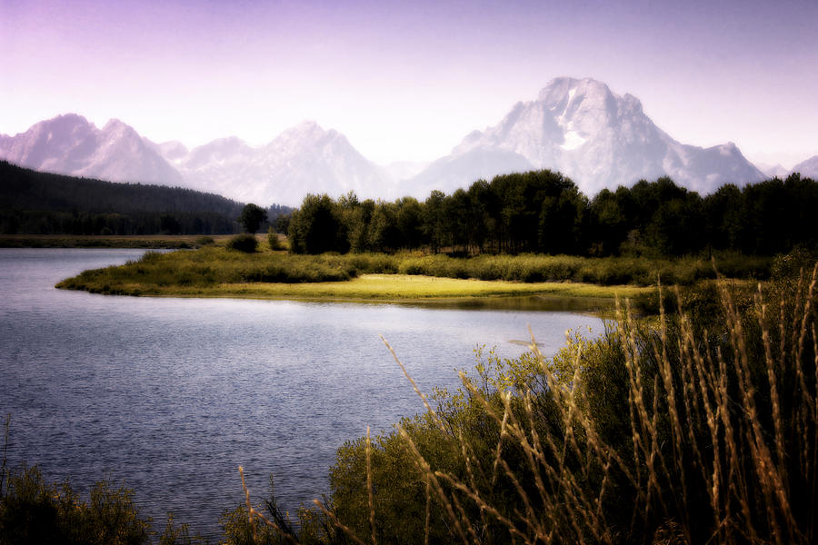 Violet Tetons Photograph by Ron White