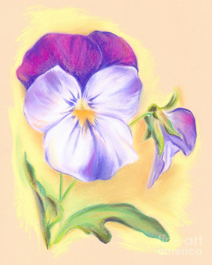 Violet Violas Pastel by MM Anderson