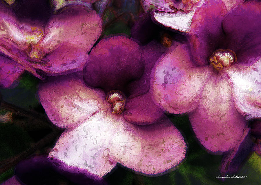 Violets No. 2 by Susan Schroeder Violets No. 2 by Susan Schroeder
