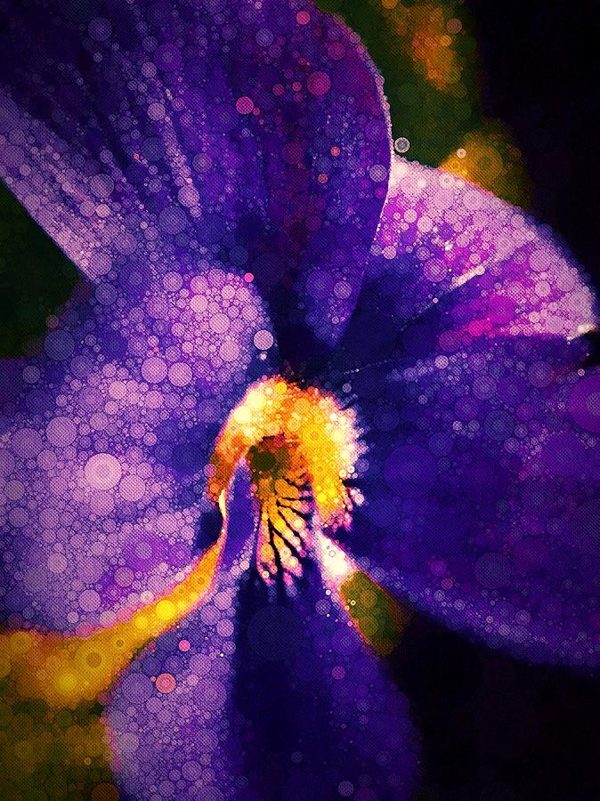 Violetta Photograph by Susan Maxwell Schmidt