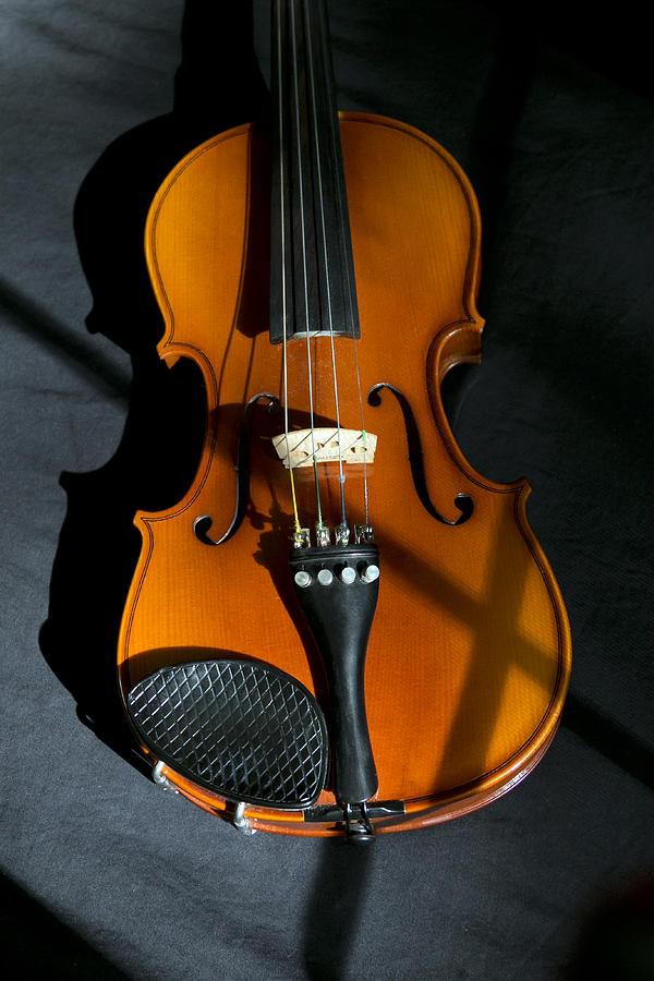 Violin at rest Photograph by Mark McKinney
