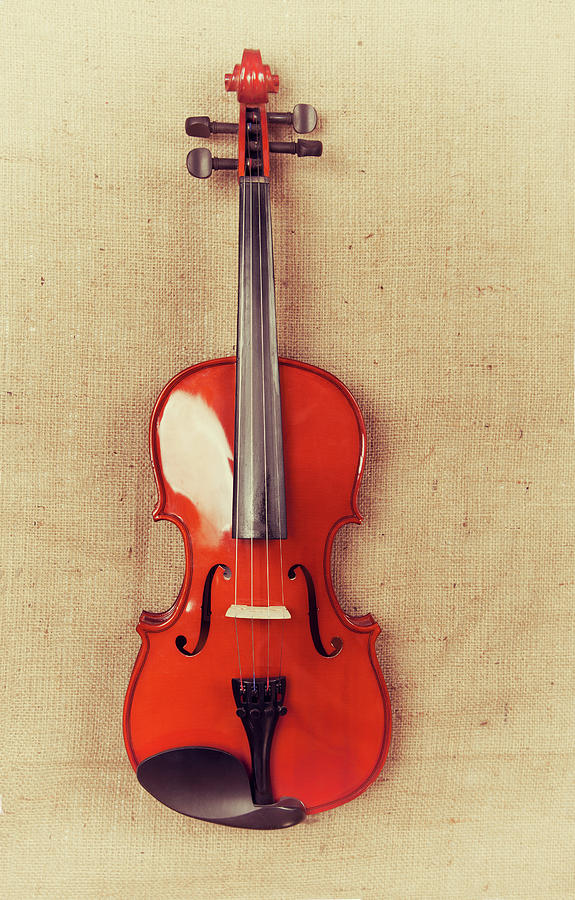 Violin Photograph by Baytunc
