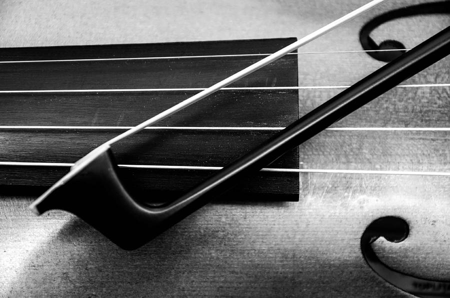 Violin Close-up Photograph by Lonnie Paulson
