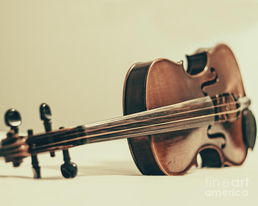 Music Photograph - Violin by Kadwell Enz