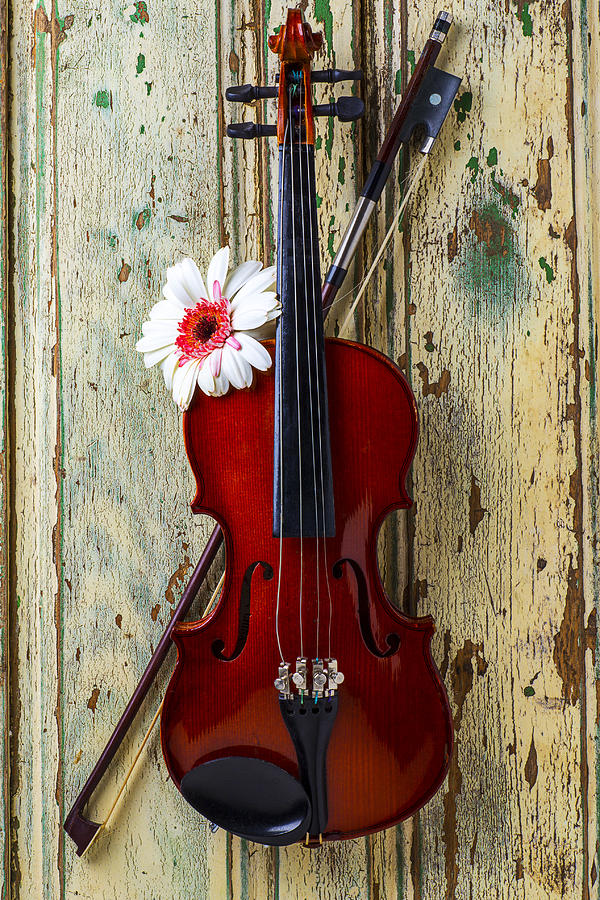 Violin on old door Photograph by Garry Gay